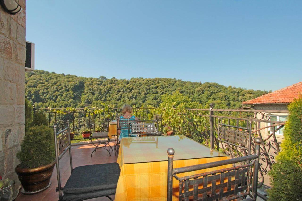 Фото Отели Family Hotel Silvestar Велико-Тырново 9